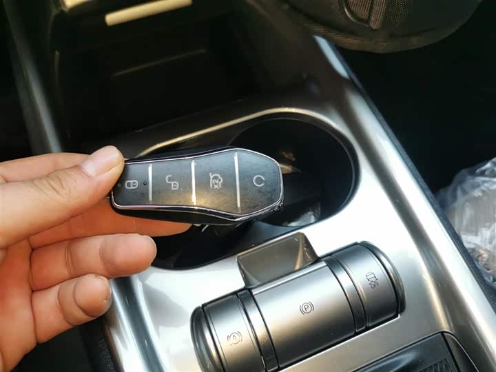 BYD Dolphin 2025 2025款 420km 自由版