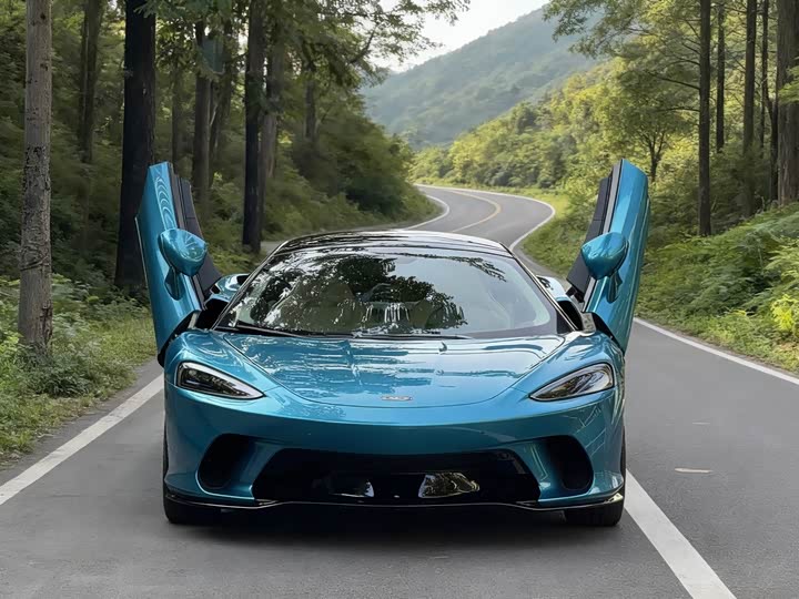McLaren GT 2023 2023款 4.0T 标准型