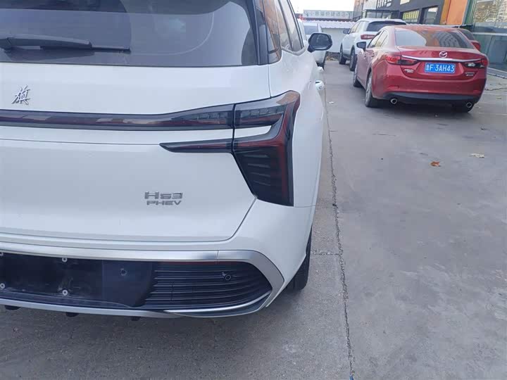 Hongqi HS3 Hybrid 2024 2024款 115km 劲为版