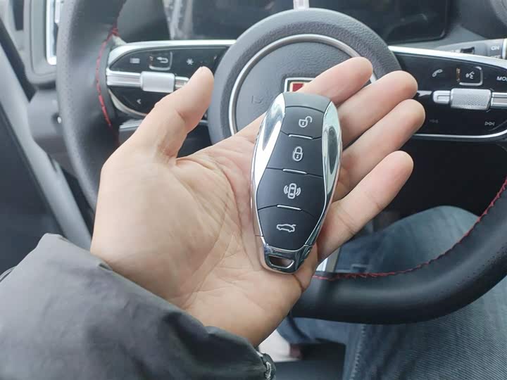 Hongqi HS3 Hybrid 2024 2024款 115km 劲为版