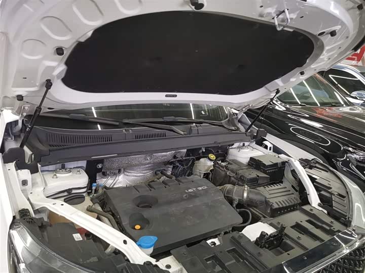 Chery Tiggo 8 Plus 2024 2024款 冠军版 290TGDI DCT豪悦版 5座