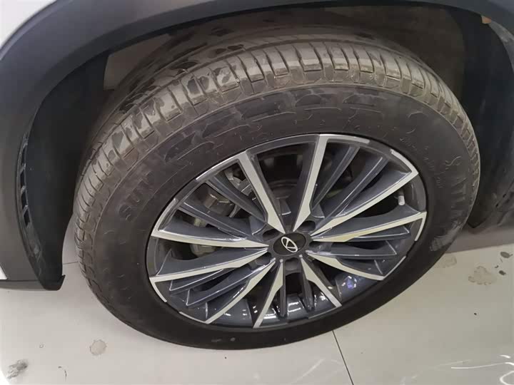 Chery Tiggo 8 Plus 2024 2024款 冠军版 290TGDI DCT豪悦版 5座