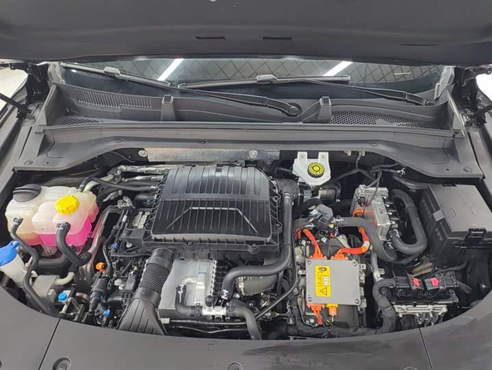 Exeed RX C-DM Hybrid 2024 2024款 1.5T 长续航Pro