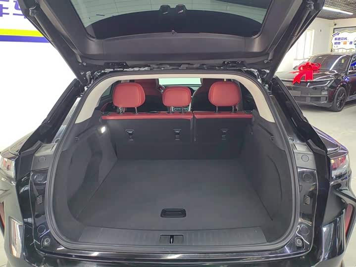 Exeed RX C-DM Hybrid 2024 2024款 1.5T 长续航Pro