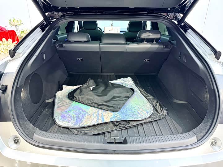 XPeng F57 2024 2024款 长续航 Max