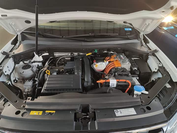 Volkswagen Tiguan L Hybrid 2023 2023款 430PHEV 插电混动尊贵版