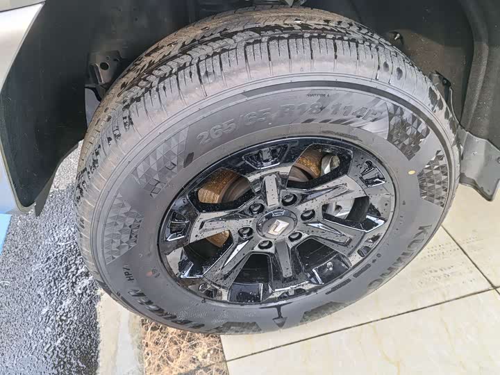 Tank 400 Hybrid 2024 2024款 Hi4-T 越野版