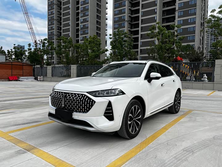 Wey Mocha 2021 2021款 2.0T 四驱特醇版