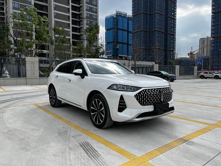 Wey Mocha 2021 2021款 2.0T 四驱特醇版