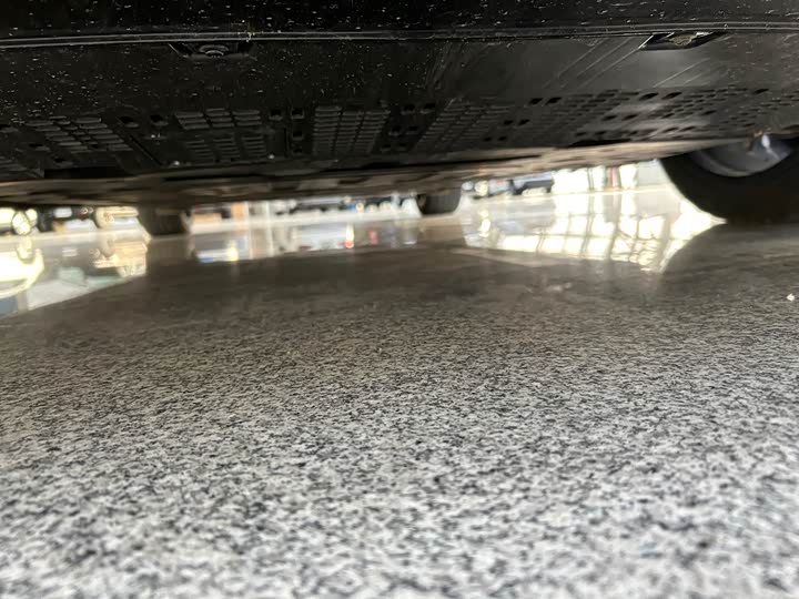 Stelato S9 2025 2025款 增程 Max+