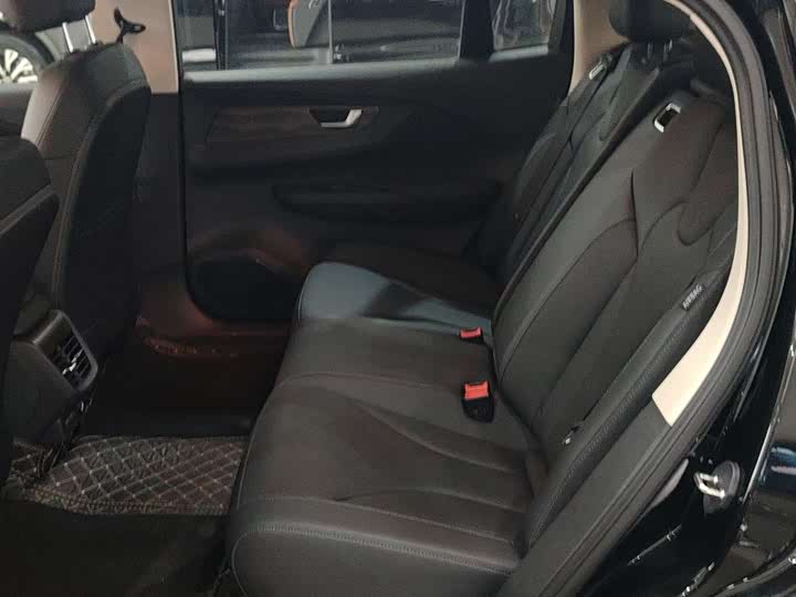 Hongqi E-QM5 2024 2024款 450km 出行版