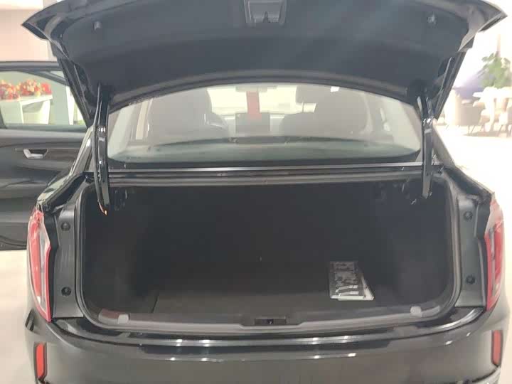 Hongqi E-QM5 2024 2024款 450km 出行版