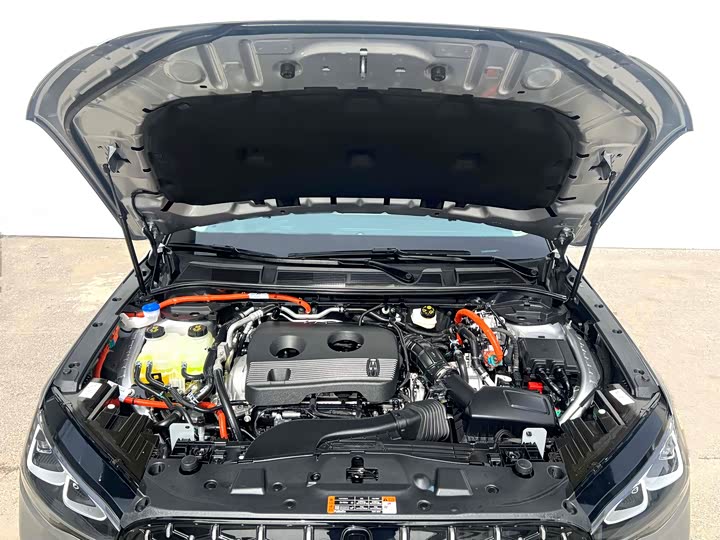 Lincoln Corsair 2024 2024款 1.5T 两驱尊雅混动版