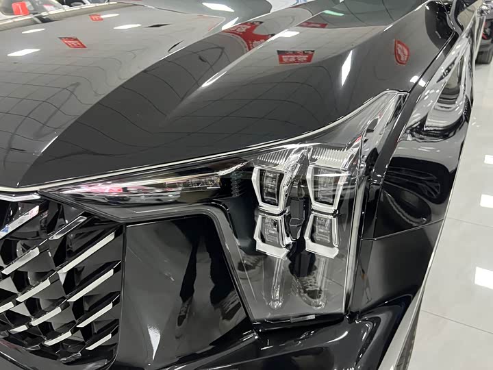 GAC Trumpchi GS8 2025 2025款 领航系列 2.0TGDI 四驱豪华版 5座