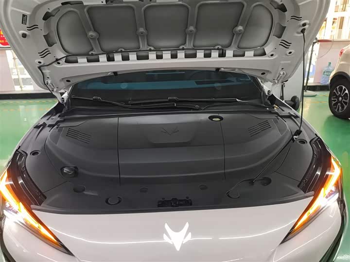 BAIC Arcfox Alpha S5 2025 2025款 560MAX 185kW