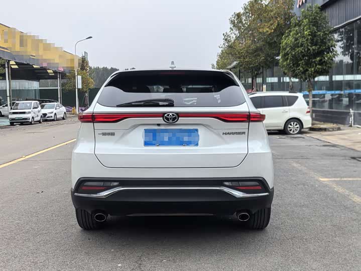 Toyota Harrier 2022 2022款 2.0L CVT两驱进取版