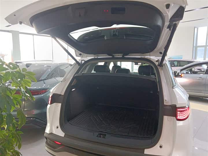 BYD Sea Lion 05 DM-i Hybrid 2025 2025款 DM-i 智驾版 115KM旗舰型