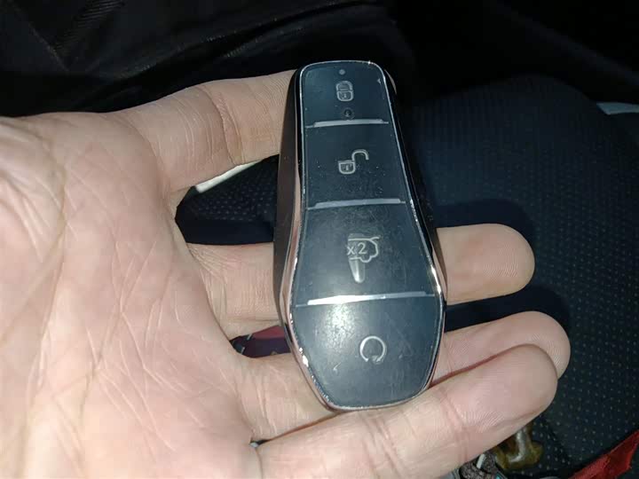 BYD Sea Lion 05 DM-i Hybrid 2025 2025款 DM-i 智驾版 115KM旗舰型