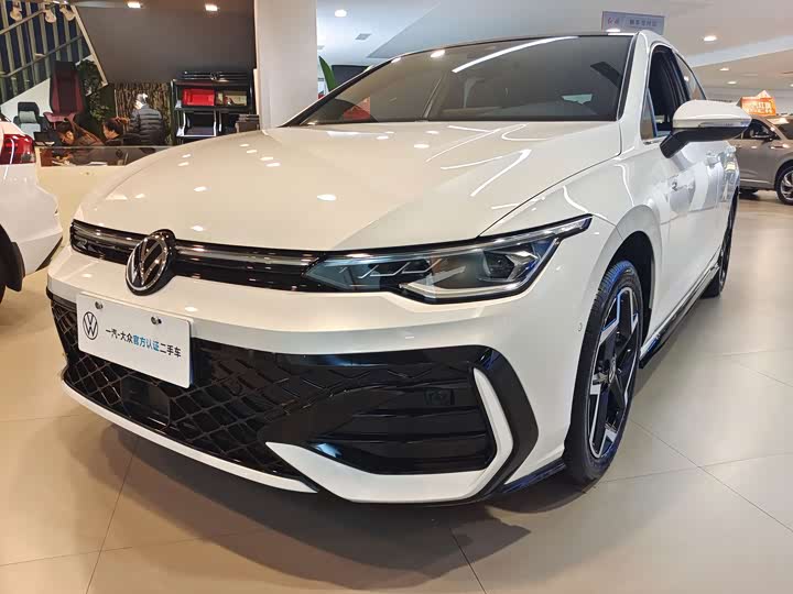 Volkswagen Golf 2025 2025款 300TSI R-Line