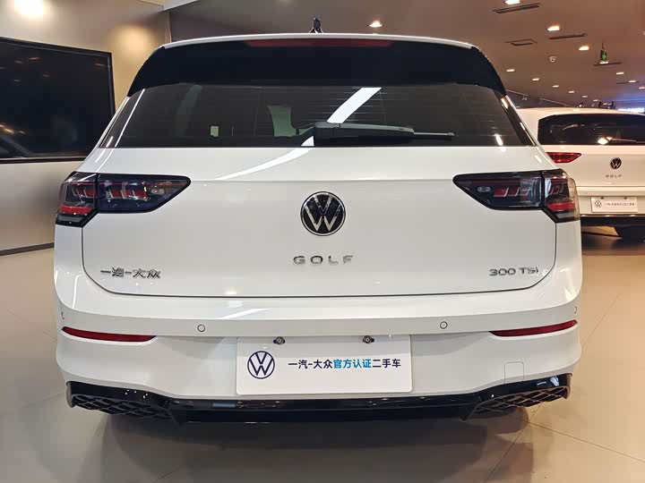 Volkswagen Golf 2025 2025款 300TSI R-Line