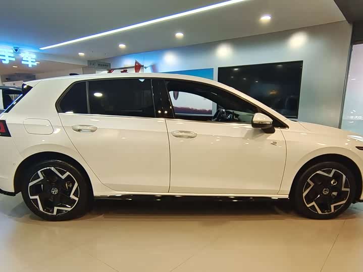 Volkswagen Golf 2025 2025款 300TSI R-Line