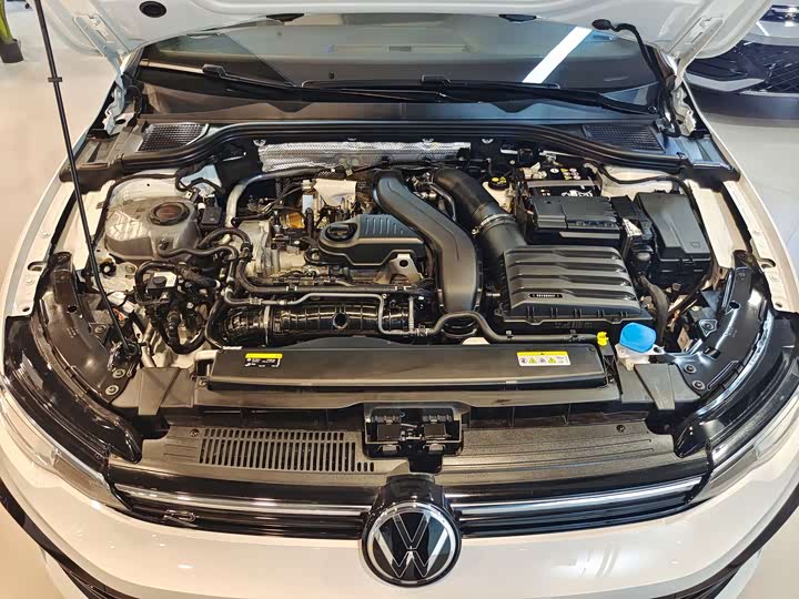 Volkswagen Golf 2025 2025款 300TSI R-Line