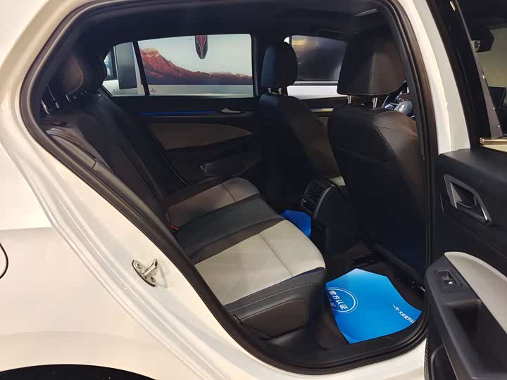 Volkswagen Golf 2025 2025款 300TSI R-Line