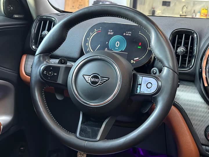 Mini Countryman 2022 2022款 2.0T COOPER S ALL4