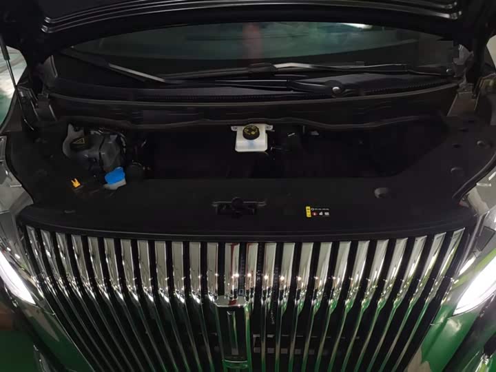 Wey Gaoshan 2025 2025款 四驱高山8