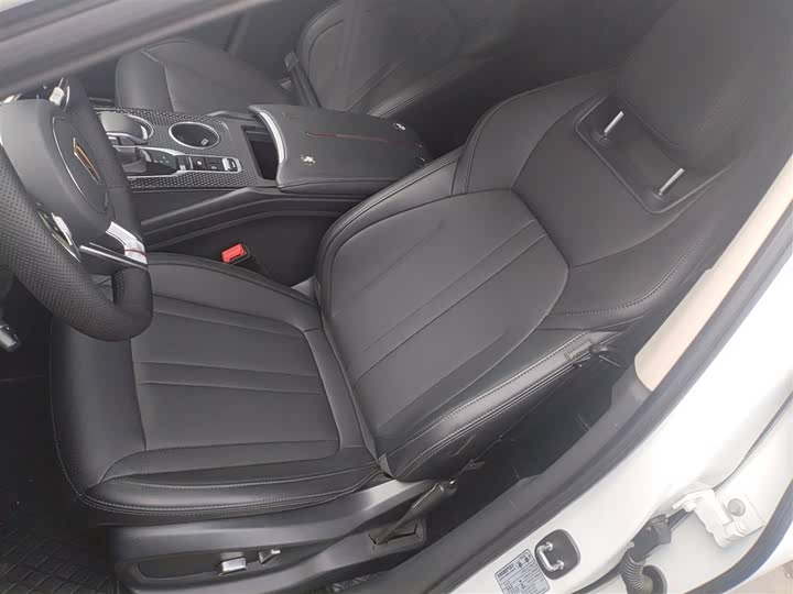 Hongqi HS3 Hybrid 2024 2024款 115km 劲为版