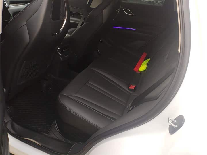 Hongqi HS3 Hybrid 2024 2024款 115km 劲为版