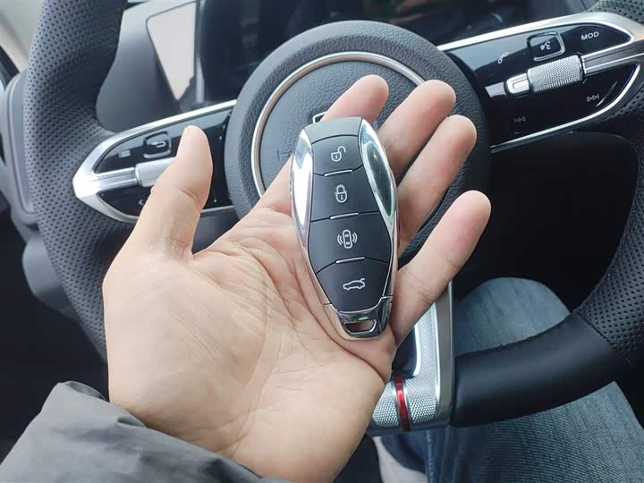 Hongqi HS3 Hybrid 2024 2024款 115km 劲为版