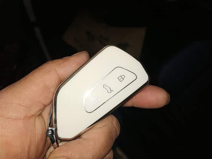 Volkswagen ID.4 X 2025 2025款 聪明款 纯净智享版