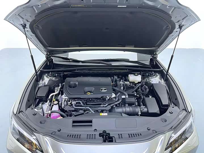 Lexus ES 2025 2025款 300h 臻享版