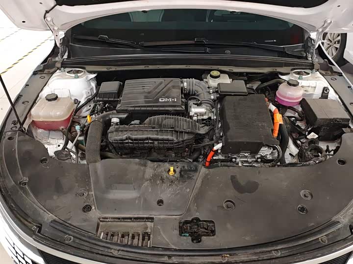 BYD Destroyer 05 2024 2024款 荣耀版 DM-i 120KM 豪华型