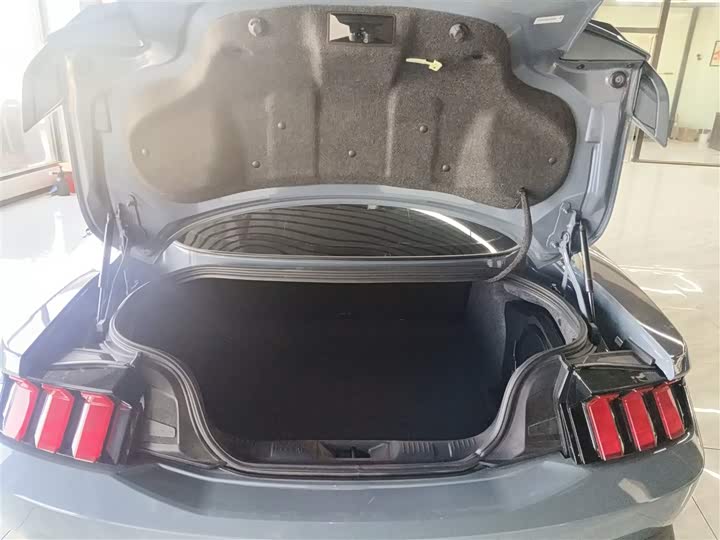 Ford Mustang 2024 2024款 2.3T EcoBoost 硬顶性能版