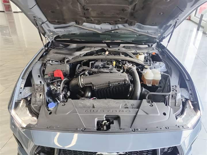 Ford Mustang 2024 2024款 2.3T EcoBoost 硬顶性能版