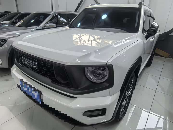 Haval H-Dog 2023 2023款 2.0T 四驱潮野Plus