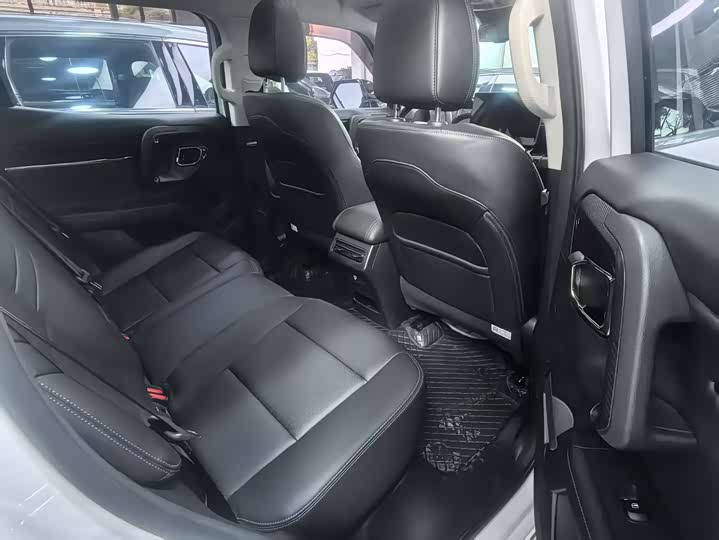 Haval H-Dog 2023 2023款 2.0T 四驱潮野Plus