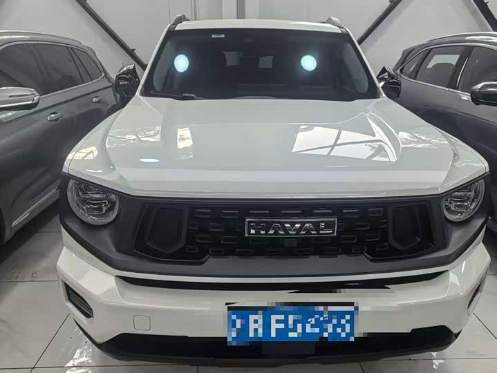 Haval H-Dog 2023 2023款 2.0T 四驱潮野Plus