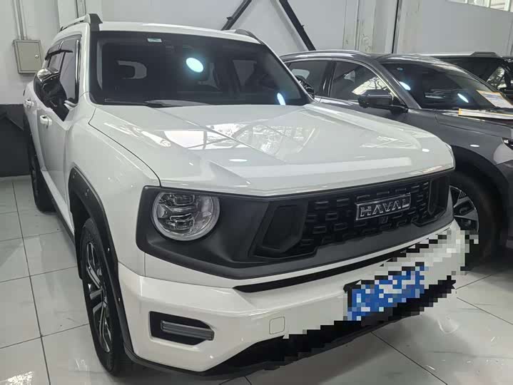 Haval H-Dog 2023 2023款 2.0T 四驱潮野Plus