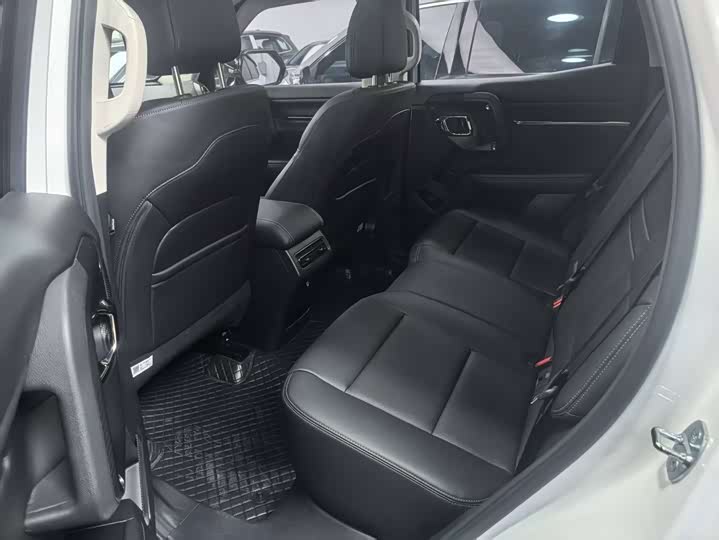 Haval H-Dog 2023 2023款 2.0T 四驱潮野Plus