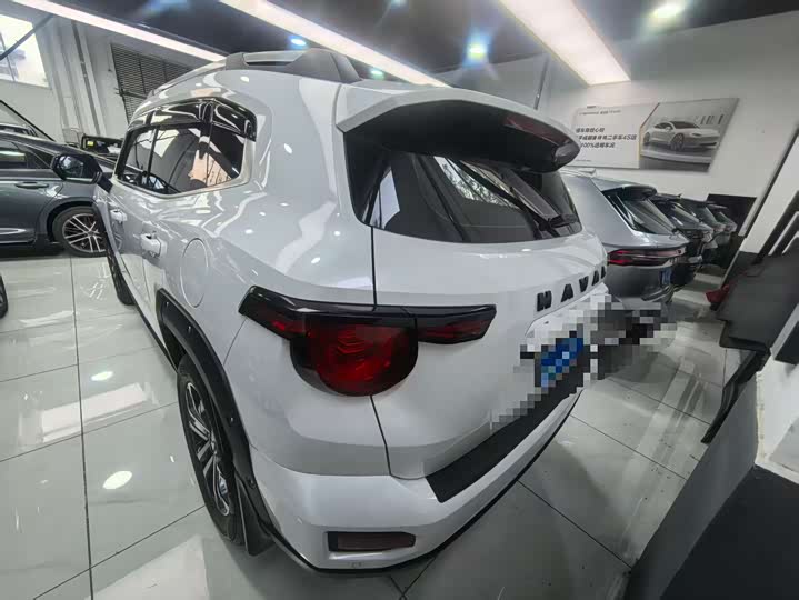 Haval H-Dog 2023 2023款 2.0T 四驱潮野Plus