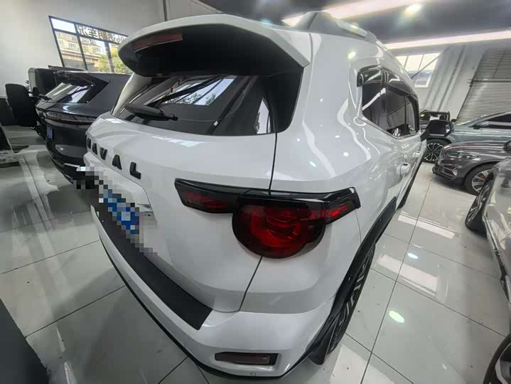 Haval H-Dog 2023 2023款 2.0T 四驱潮野Plus