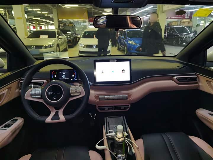 BYD Seagull 2025 2025款 305km 自由版