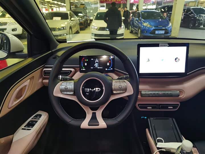 BYD Seagull 2025 2025款 305km 自由版