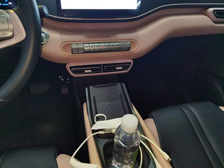 BYD Seagull 2025 2025款 305km 自由版