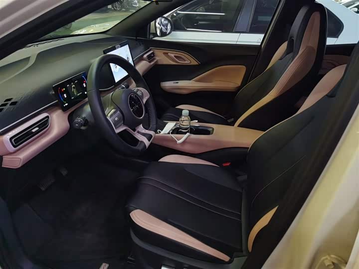 BYD Seagull 2025 2025款 305km 自由版