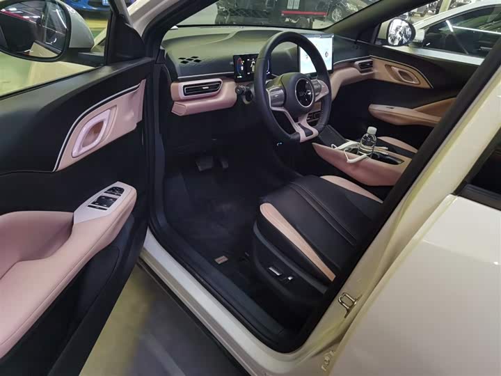 BYD Seagull 2025 2025款 305km 自由版