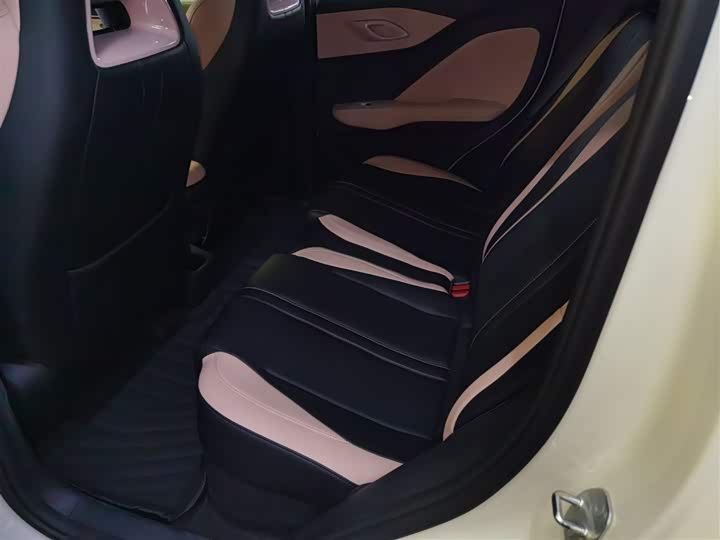 BYD Seagull 2025 2025款 305km 自由版